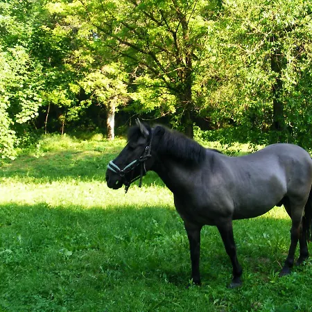 Ketbodonyi Apartment Ketbodony