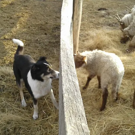 Апартаменты Ketbodonyi