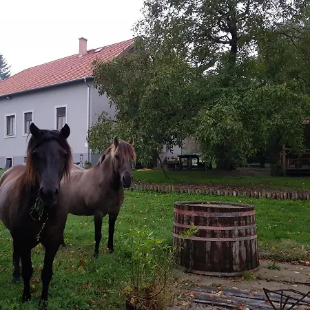 Апартаменты Ketbodonyi