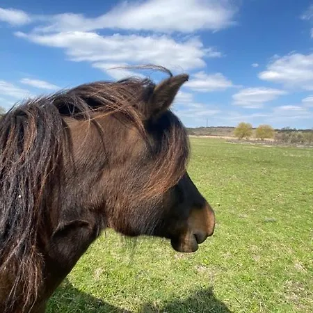 Апартаменты Ketbodonyi