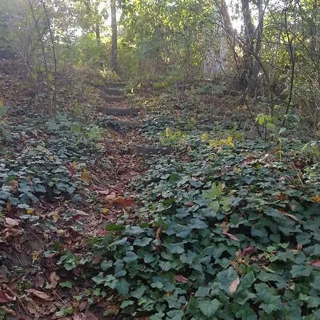 Ketbodonyi Апартаменты