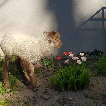 Ketbodonyi Апартаменты