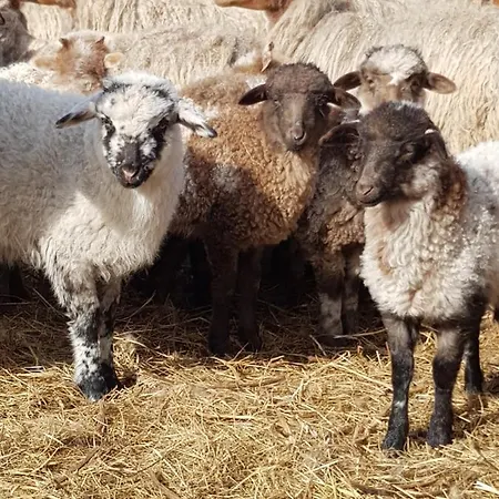 Апартаменты Ketbodonyi Ketbodony