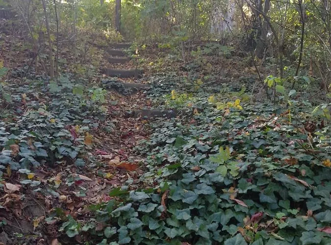 Ketbodonyi 아파트